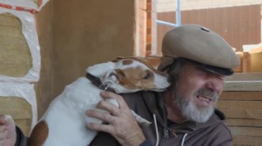 Köpek insanın yüzünü yalıyor. Jack Russell Terrier oyunda..