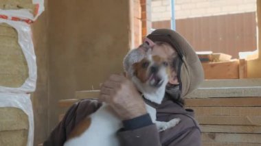 Köpek insanın yüzünü yalıyor. Jack Russell Terrier oyunda..