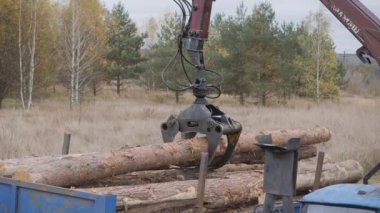 Ön yükleyiciyle odun boşaltıyorum. Kereste inşa ediliyor.