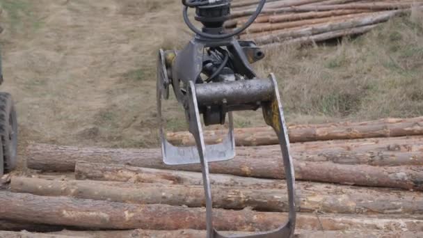 Avlastning av trä med frontlastare. Byggvirke. — Stockvideo
