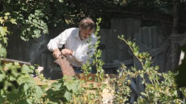 Arı kovanının açılışı. Bal çerçevelerindeki tuvali çıkarıyorum. Arı kovanında sakallı bir arı yetiştiricisi. Arı yetiştiricisi bal topluyor. Arıcılık konsepti.