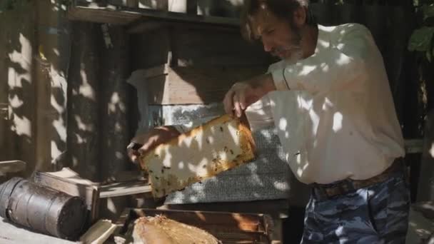 Ένας άντρας με μούσι, μελισσοκόμος, στο μελισσοκομείο. Μελισσοκόμος που δουλεύει συλλέγει μέλι. Έννοια μελισσοκομίας. — Αρχείο Βίντεο