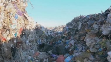 5 Aralık 2020 - editoryal - Mtsensk, Oryol bölgesi, Rusya: Procter ve Gamble tarafından üretilen boş bir şişe Lenor yumuşatıcı. Ev atıkları. Çevre felaketi.