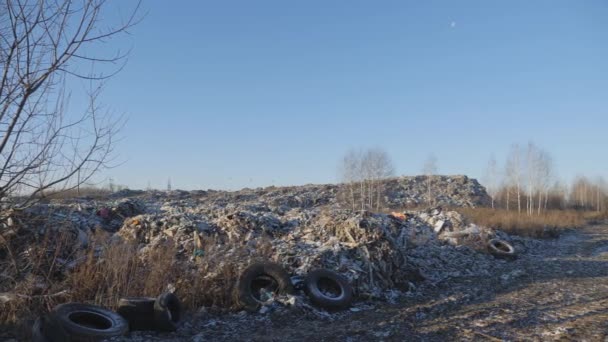 Dépôt de déchets ménagers. Catastrophe environnementale. — Video