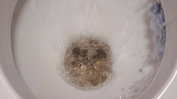 Flush water in the toilet. Toilet freshener and cleaner. — Stock Video