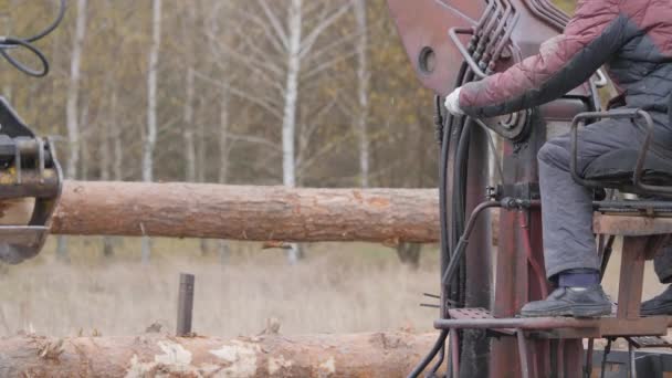 Unloading of wood with a front loader. Building timber. — Stock Video