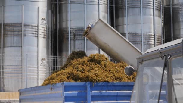 Afval van de wijnproductie. Installatie voor de productie van wijn. Roestvrijstalen tanks. Wijnbouw. — Stockvideo