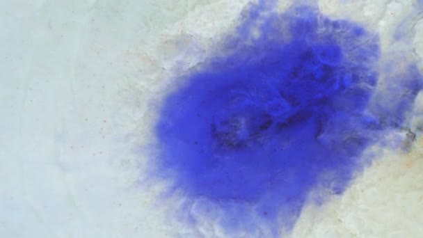 One drop of paint. Macrocosm of liquid ink. Diffusion, psychedelic explosion, movement. — Stock Video
