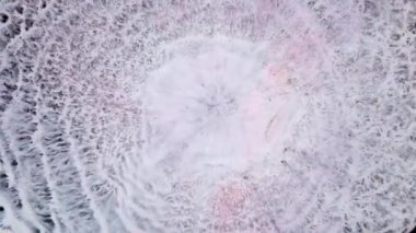 Karanlık ışığı, hayatı tüketir. Soyut renkli arkaplan taşınıyor. Karışık Alkol Mürekkebi. Sıvı soyutlamalar.