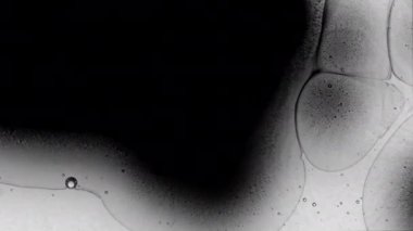 Soyut renkli arkaplan taşınıyor. Karışık Alkol Mürekkebi. Sıvı soyutlamalar. Siyah ve beyaz.