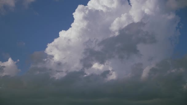 Nubes de cirros en un cielo azul. — Vídeos de Stock