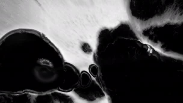 Υγρές αφαιρέσεις. Μετάπτωση σταγόνων μελανιού σε μαύρο φόντο — Αρχείο Βίντεο