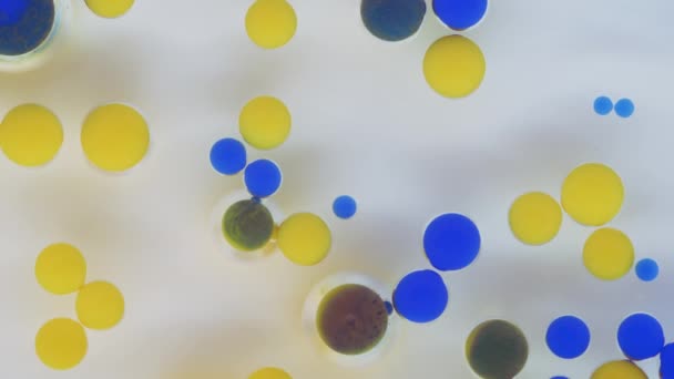 Красочные пузыри. Абстрактная желто-синяя смесь на черном фоне. Художественный цвет фона краски. — стоковое видео