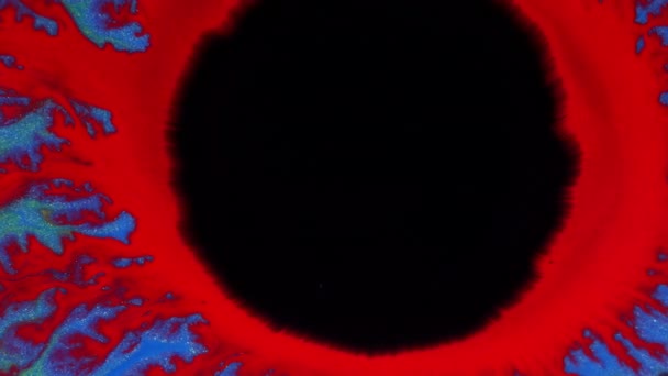 Kristalkieming. Abstracte rode, zwarte vlek op een blauwe achtergrond. Abstract Grunge Art Inkt Verf Spread Blast Explode Achtergrond. — Stockvideo