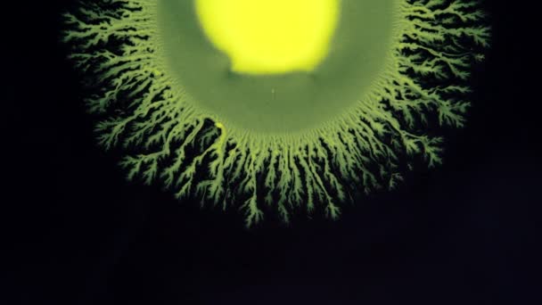 Κρυστάλλινη βλάστηση. Αφηρημένη κίτρινη κηλίδα σε μαύρο φόντο. Αφηρημένη Grunge Art Ink χρώμα εξάπλωση έκρηξη φόντο. — Αρχείο Βίντεο