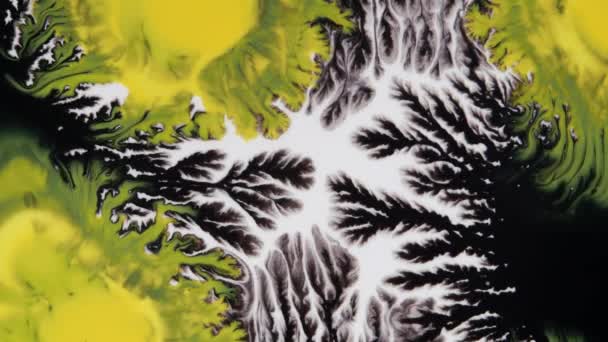 Kristalkieming. Abstract gele vlek op een witte achtergrond. Abstract Grunge Art Inkt Verf Spread Blast Explode Achtergrond. — Stockvideo
