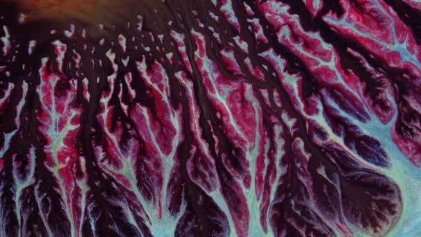 Crystal germination. Abstract dark red flow through the vessel on a dark background. — Stock Video