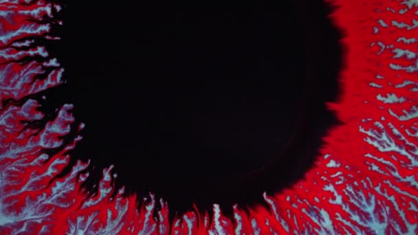 Kiełkowanie kryształów. Streszczenie czarnej plamy na czerwonym, ciemnym tle. Streszczenie Farba do farb atramentowych Grunge Art Spread Blast Explode tło. — Wideo stockowe
