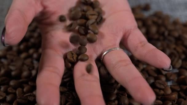 Kávébab Asztalon Pörkölt Kávébabból Álló Háttér Gyümölcsök Szétszóródtak Asztalon Kamera — Stock videók