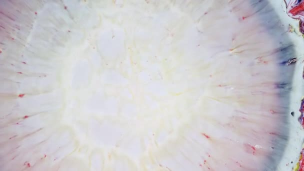 Абстрактний Колір Гранж Чорнила Фарба Поширення Вибух Звуження Простору Вибух — стокове відео