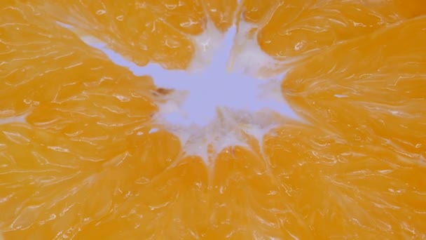 Pomeranč na bílém pozadí. — Stock video