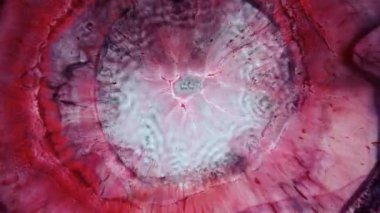 Soyut Grunge Renk Mürekkepli Patlama Arkaplanı daraltıyor. Mavi, kırmızı, beyaz gökkuşağı renkleriyle ayrıntılı arkaplan hareketi.