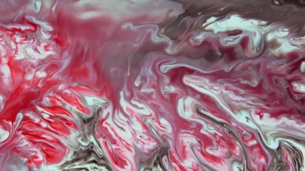 L'art des fluides. Rouge, blanc, fond noir. Flux rouges abstraits coulent et se déplacent sur un fond sombre. — Video