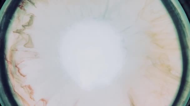 Abstraktní Grunge Color Ink Paint Spread Explosion Zúžení prostoru exploze pozadí. Detailní pohyb pozadí s modrými, červenými, bílými duhovými barvami. — Stock video