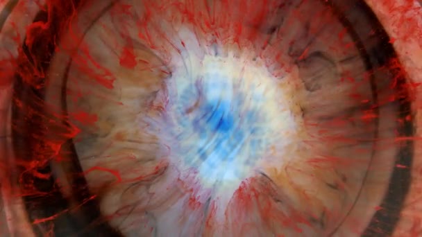 Abstraktní Grunge Color Ink Paint Spread Explosion Zúžení prostoru exploze pozadí. Detailní pohyb pozadí s modrými, červenými, bílými duhovými barvami.Detailní pohyb pozadí s pastelem — Stock video