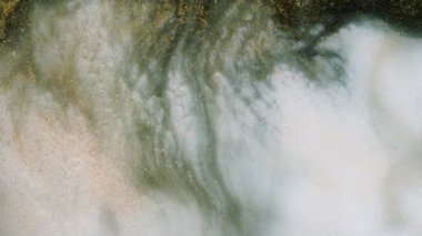 Beyaz boya siyah, altın gibi parıldayan, hareketli bir arka plana yayılır. Akışkan sanat. Sıvı soyutlamalar. Derin mürekkep boşlukları. Soyut renkli arkaplan taşınıyor. Derin mürekkep boşlukları.