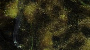 Beyaz girdaplı ve akımlı altın hareketli arka plan. Akışkan sanat. Sıvı soyutlamalar. Derin mürekkep boşlukları. Soyut renkli arkaplan taşınıyor. Derin mürekkep boşlukları.