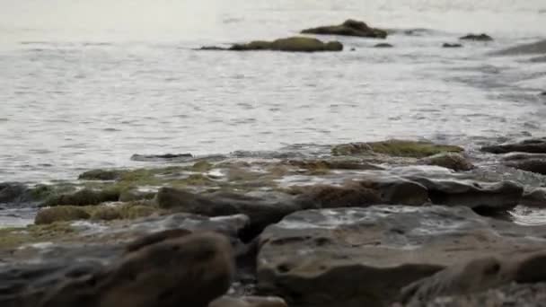 Deniz dalgaları kayalık kıyıları yıkıyor.. — Stok video