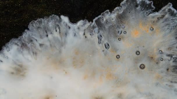 La peinture blanche se répand sur un fond noir, scintillant d'or et mouvant. L'art des fluides. Des abstractions liquides. Encre profonde à blanc. Fond coloré abstrait mouvant. Encre profonde blancs. — Video