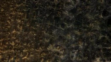 Sıvı reçine sanatı. Şeffaf bir arkaplanda altın ve gümüş tozu. Koyu renk, parlak geçiş, sıçrama ekranı. Soyut hareket arkaplanı. Akışkan sanat görüntüleri, renkli dalgalı soyut akrilik doku. Sıvı boya karıştırıcı sanat eseri