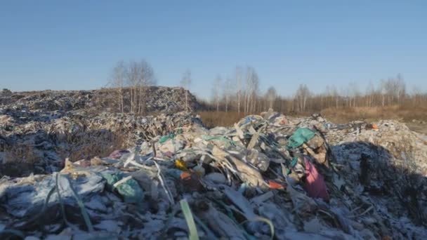 Dumpning av hushållsavfall. Miljökatastrof. — Stockvideo