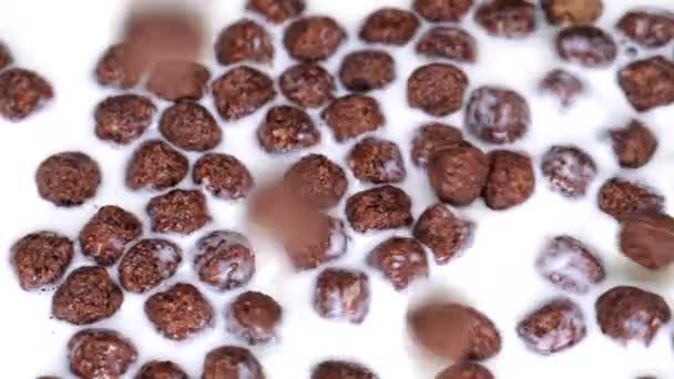 Des boules de chocolat. Boules de céréales de maïs au chocolat tombant dans le lait biologique au ralenti. — Video