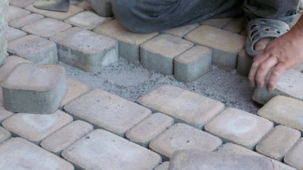 Строительные работы. Укладка тротуарных плит, камней на пешеходной дорожке загородного дома. Монтаж тротуара. — стоковое видео
