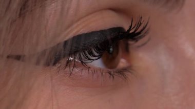 Kahverengi göz mesafeye bakıyor. Makyajda bir kadın gözü.