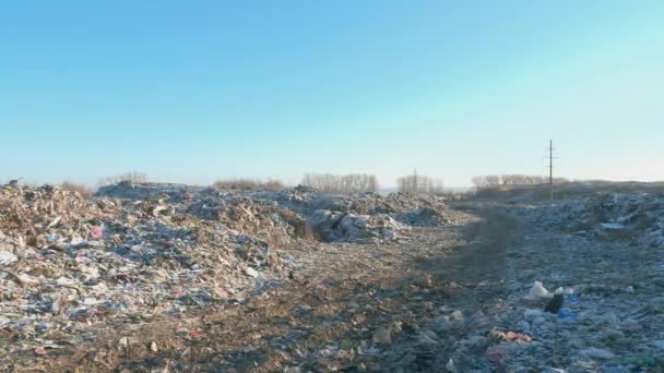 24.家庭废物的排放。环境灾难. — 图库视频影像