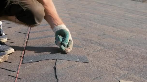 Çatı tamiratı işe yarar. Tavan sırtına yumuşak bir kiremit döşemek ve yerleştirmek. Çatının üsse kurulumu. — Stok video