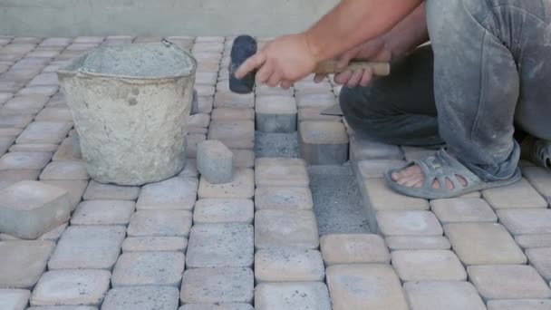 Будівельні роботи. Укладання тротуарних плит, каменів на пішохідну доріжку заміського будинку. Монтаж тротуару . — стокове відео