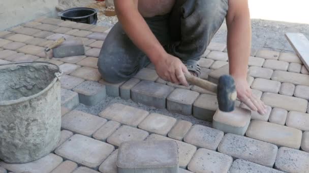 Construction works. Laying paving slabs, stones on the pedestrian path of a country house. Installation of the sidewalk. — Stock Video