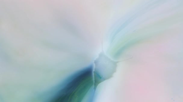 Rayas de colores sobre un fondo blanco. Manchas de pintura blanca, rosa, azul, verde. — Vídeos de Stock