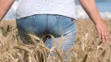 Çavdar. Kadın altın bir tarlada yürüyor.