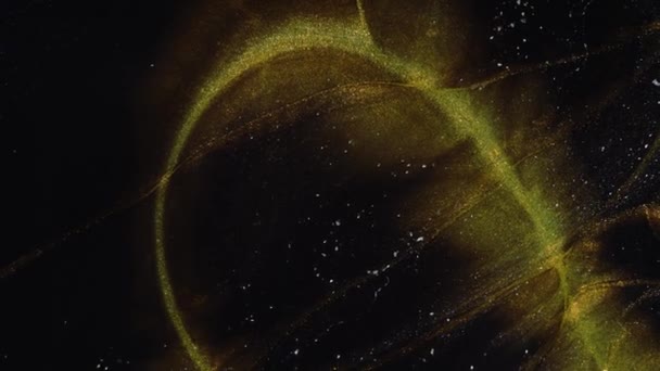 流体芸術。金のストライプの黒の背景。粒子の移動. — ストック動画