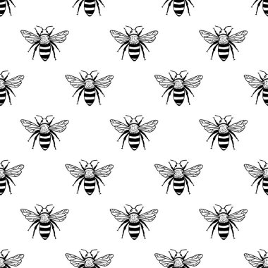 Arılarda kusursuz bir iz var. Siyah ve beyaz doku