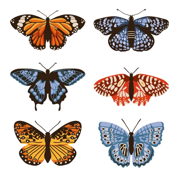 Vektör izole kelebeklerle ayarlandı. El yapımı tasarım