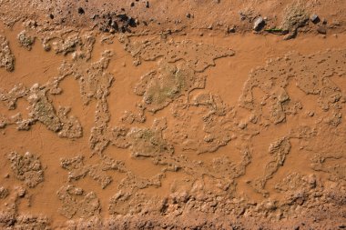 yüksek doygunluk çamurlu road02