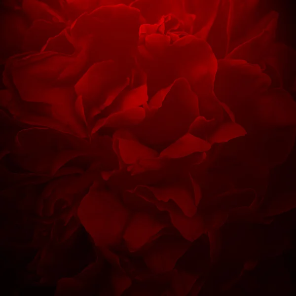 Sensual red background — Stock Photo, Image