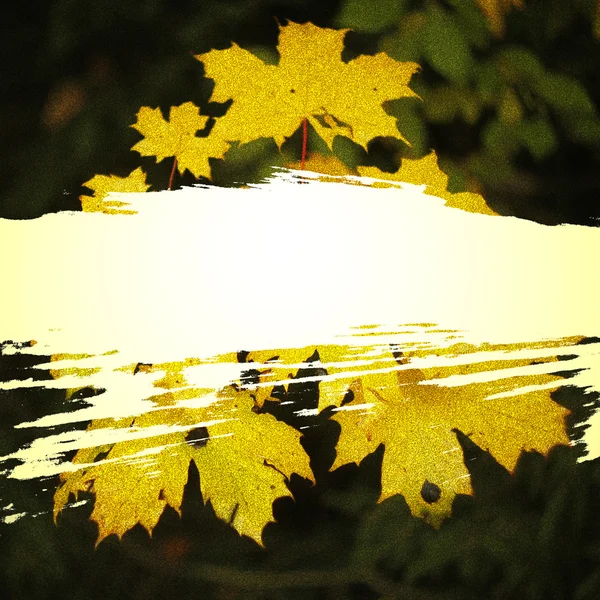 Herbst Hintergrund Mit Gelben Blättern — Stockfoto